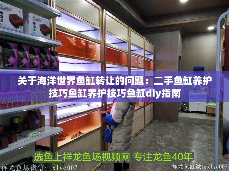 關于海洋世界魚缸轉讓的問題：二手魚缸養護技巧魚缸養護技巧魚缸diy指南