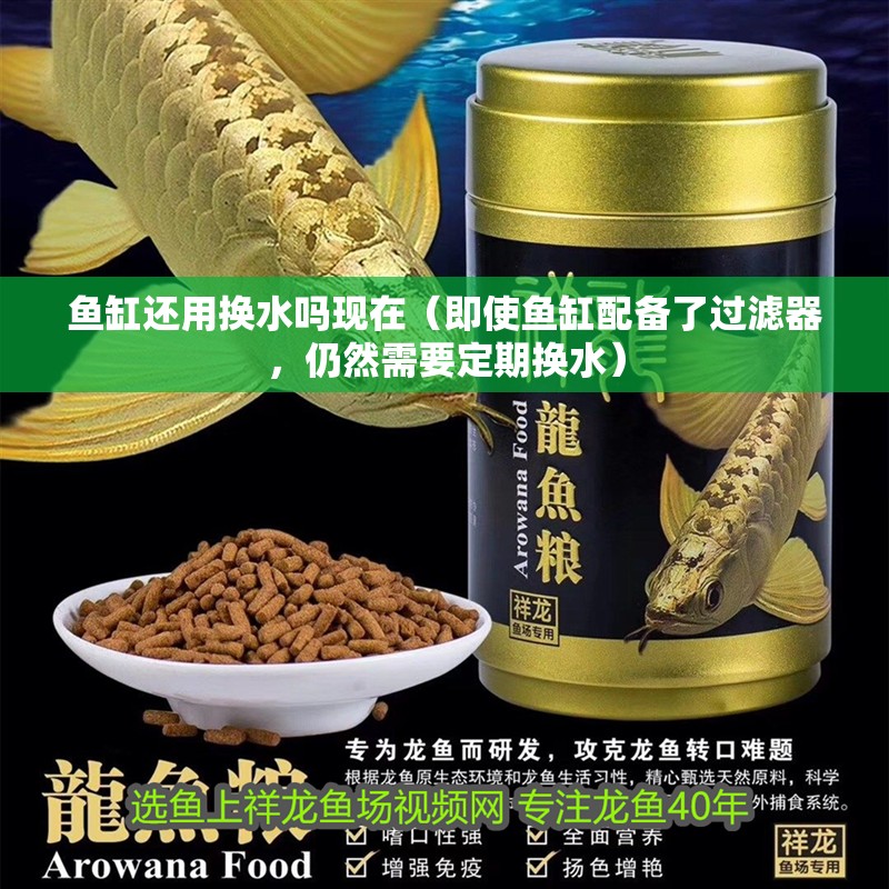 魚缸還用換水嗎現在（即使魚缸配備了過濾器，仍然需要定期換水）