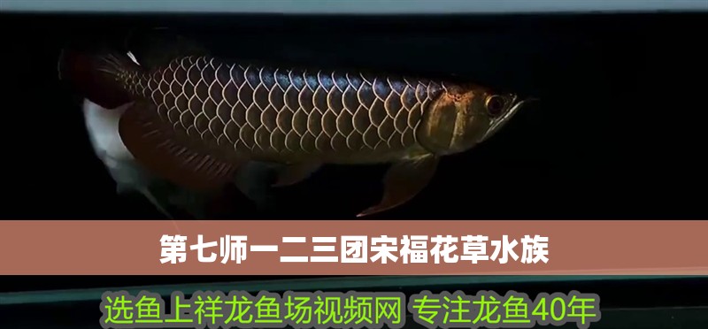 第七師一二三團宋福花草水族