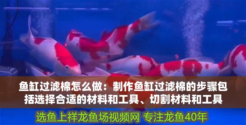 魚缸過濾棉怎么做：制作魚缸過濾棉的步驟包括選擇合適的材料和工具、切割材料和工具