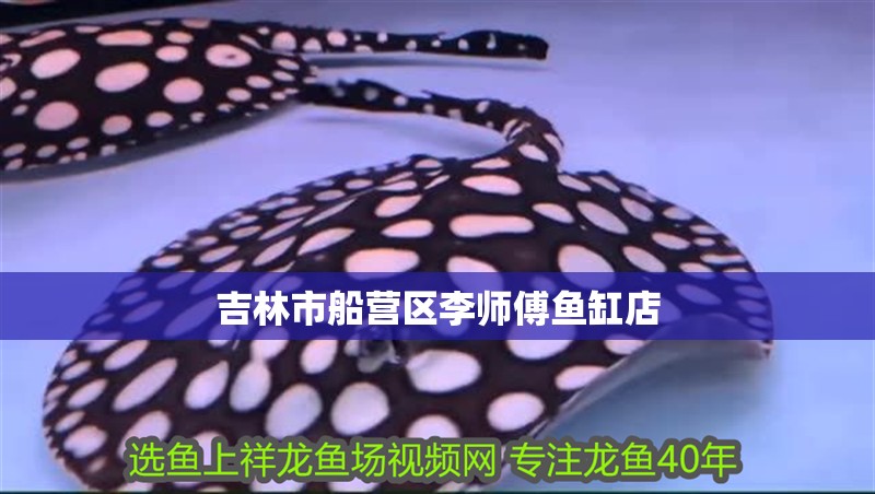吉林市船營區(qū)李師傅魚缸店
