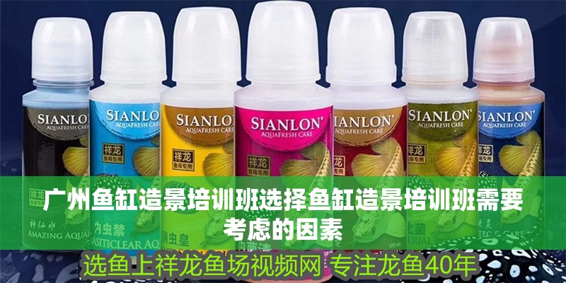 廣州魚缸造景培訓班選擇魚缸造景培訓班需要考慮的因素