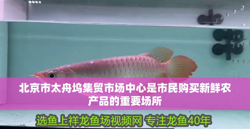 <strong><mark>北京</mark></strong>市太舟塢集貿市場中心是市民購買新鮮農產品的重要場所