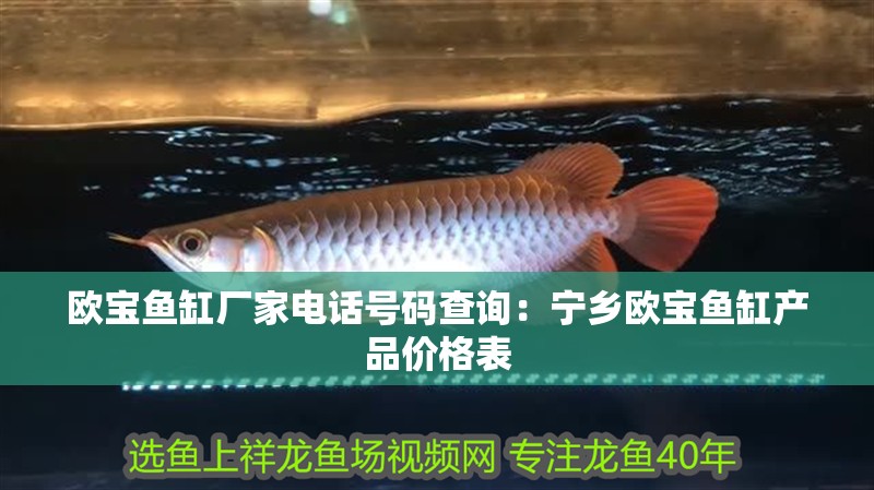 歐寶魚缸廠家電話號碼查詢：寧鄉歐寶魚缸產品價格表