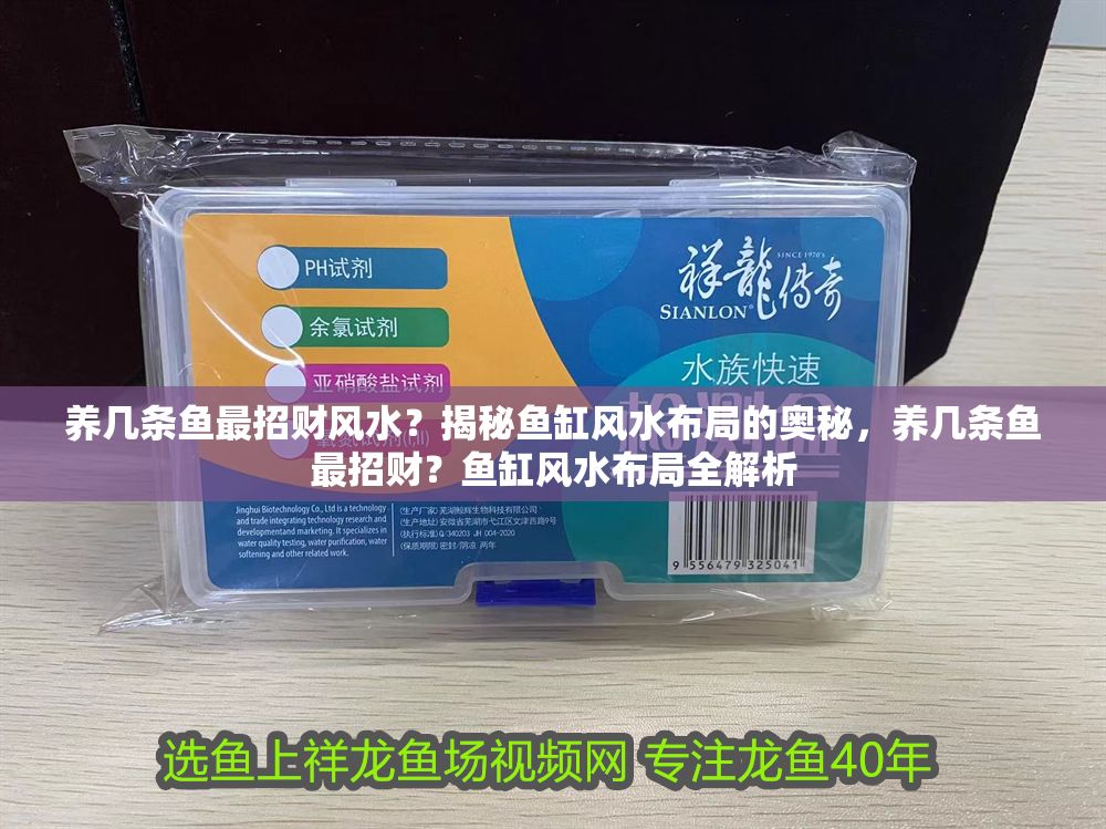 養(yǎng)幾條魚最招財(cái)風(fēng)水？揭秘魚缸風(fēng)水布局的奧秘，養(yǎng)幾條魚最招財(cái)？魚缸風(fēng)水布局全解析