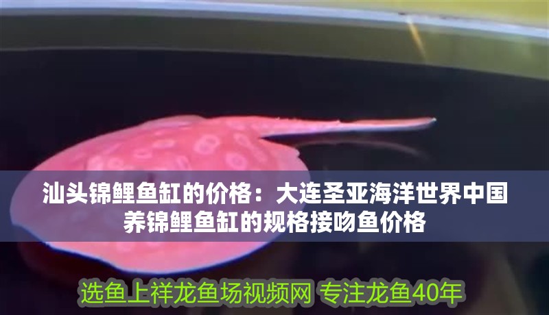 汕頭錦鯉魚缸的價格：大連圣亞海洋世界中國養錦鯉魚缸的規格接吻魚價格