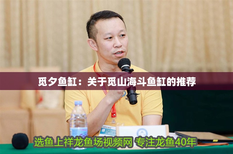 覓夕魚缸：關于覓山海斗魚缸的推薦