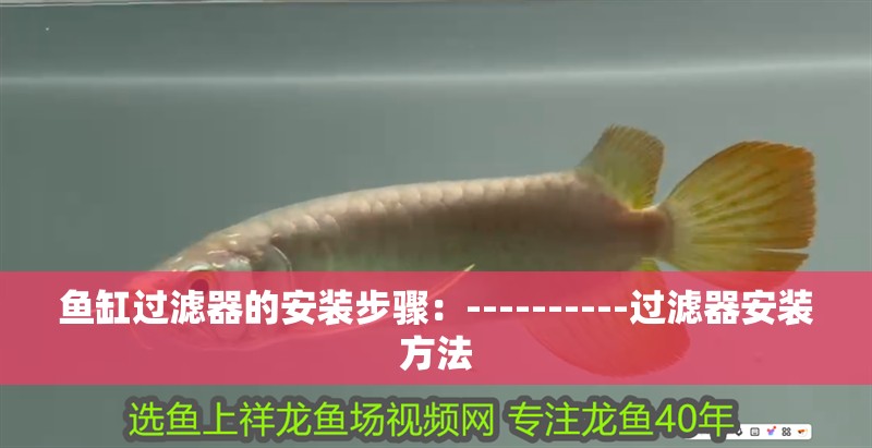 魚缸過濾器的安裝步驟：----------過濾器安裝方法