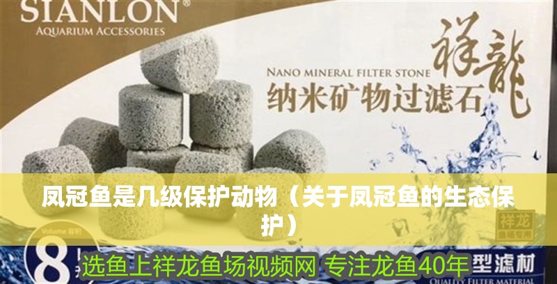 鳳冠魚是幾級保護動物（關于鳳冠魚的生態保護） 鳳冠魚是幾級保護動物（關于鳳冠魚的生態保護） 魚缸百科