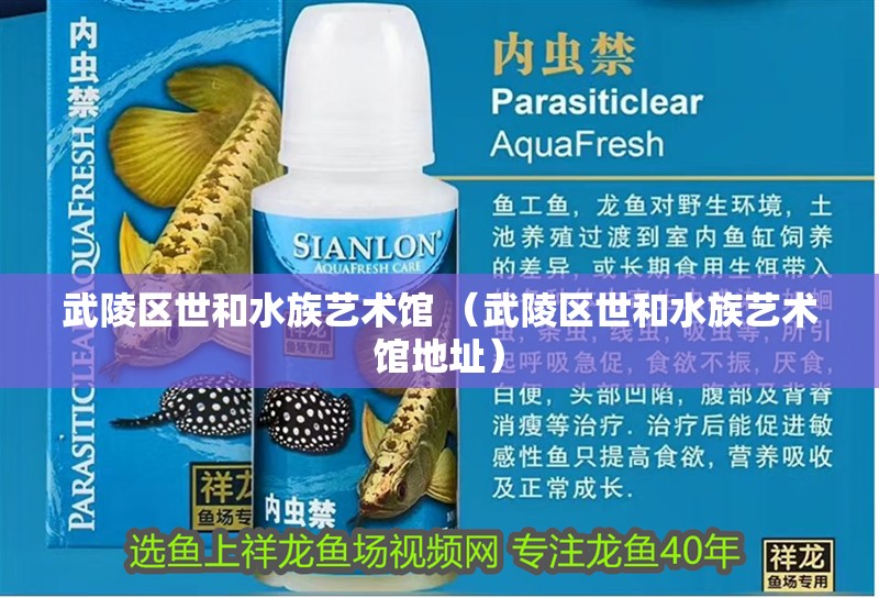 武陵區世和水族藝術館 （武陵區世和水族藝術館地址）