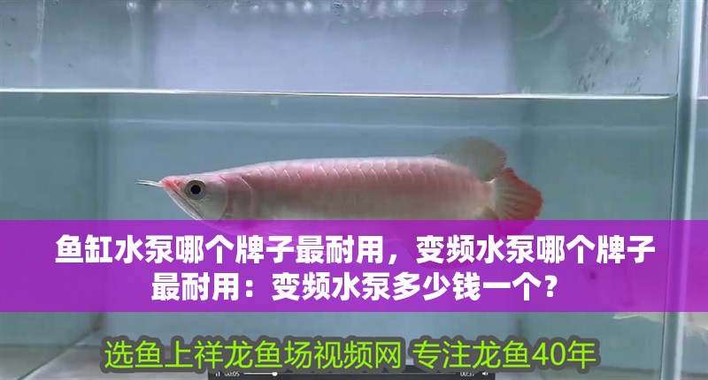 魚缸水泵哪個牌子最耐用，變頻水泵哪個牌子最耐用：變頻水泵多少錢一個？