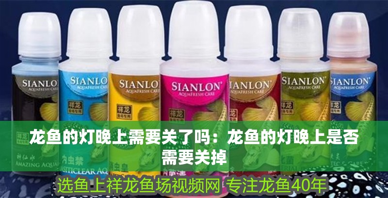 龍魚的燈晚上需要關了嗎：龍魚的燈晚上是否需要關掉