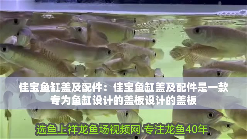 佳寶魚缸蓋及配件：佳寶魚缸蓋及配件是一款專為魚缸設(shè)計的蓋板設(shè)計的蓋板