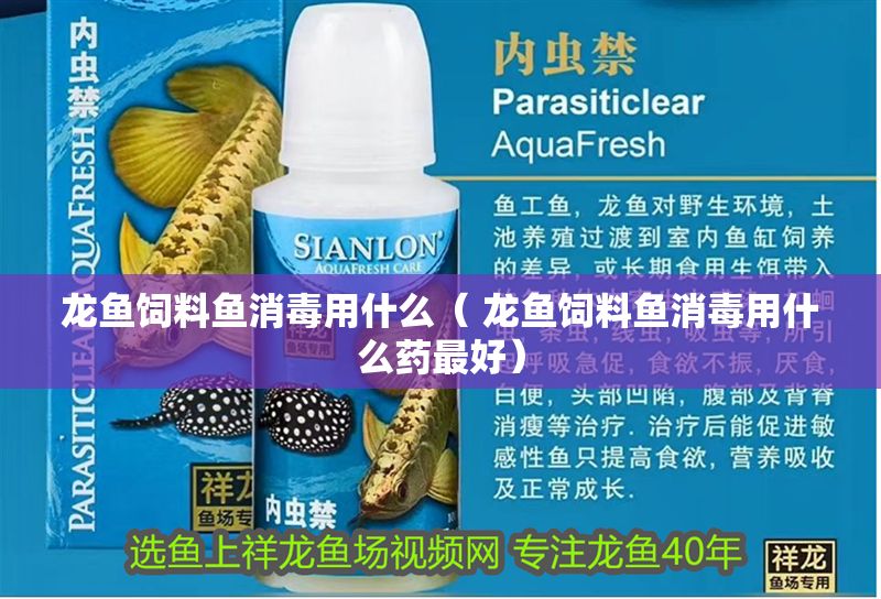 龍魚飼料魚消毒用什么（ 龍魚飼料魚消毒用什么藥最好） 龍魚飼料魚消毒用什么（ 龍魚飼料魚消毒用什么藥最好） 黃金貓魚百科 第1張
