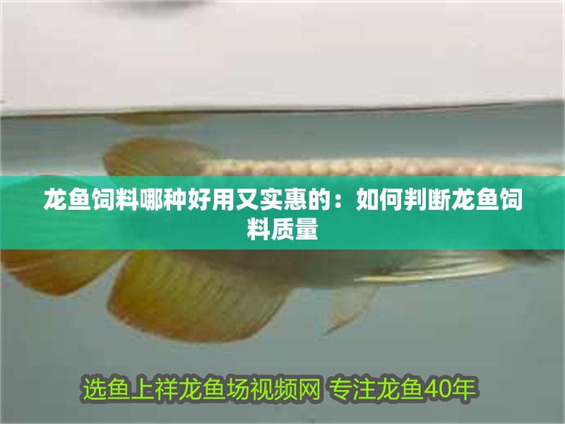 龍魚飼料哪種好用又實(shí)惠的：如何判斷龍魚飼料質(zhì)量