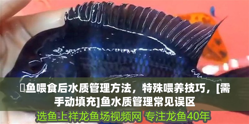 魟魚喂食后水質管理方法，特殊喂養技巧，[需手動填充]魚水質管理常見誤區