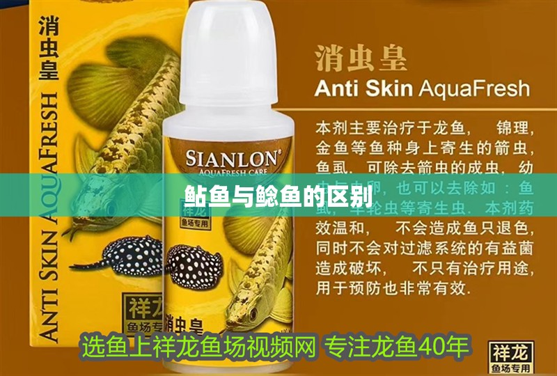 鲇魚與鯰魚的區別