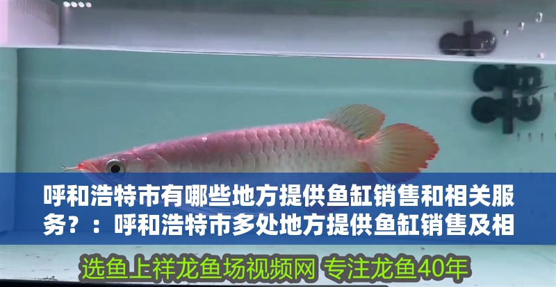呼和浩特市有哪些地方提供魚缸銷售和相關服務？：呼和浩特市多處地方提供魚缸銷售及相關服務