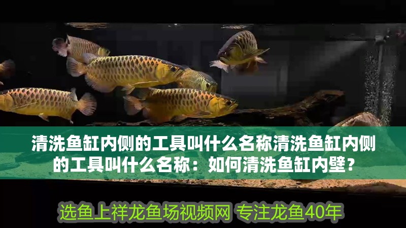 清洗魚缸內側的工具叫什么名稱清洗魚缸內側的工具叫什么名稱：如何清洗魚缸內壁？