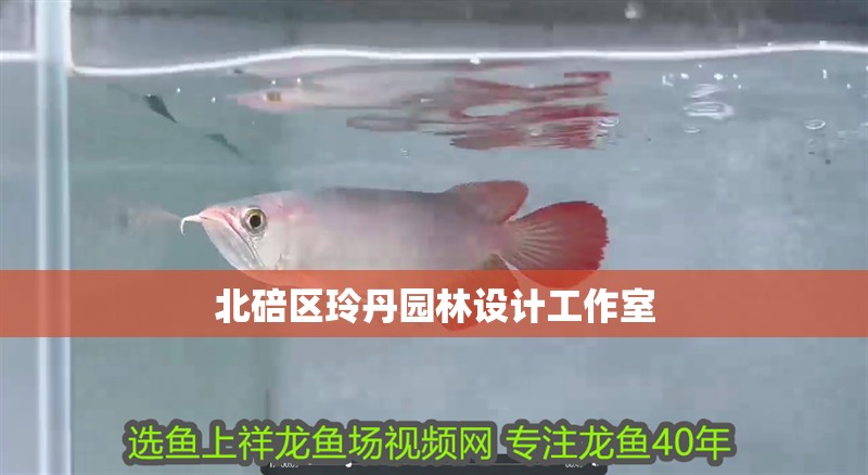 北碚區玲丹園林設計工作室 北碚區玲丹園林設計工作室 全國水族館企業名錄