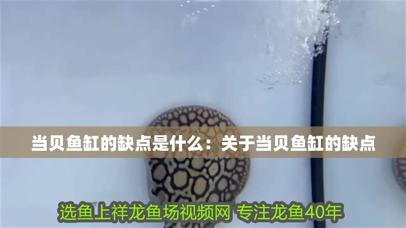 當(dāng)貝魚(yú)缸的缺點(diǎn)是什么：關(guān)于當(dāng)貝魚(yú)缸的缺點(diǎn)