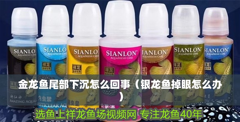金龍魚尾部下沉怎么回事（銀龍魚掉眼怎么辦）