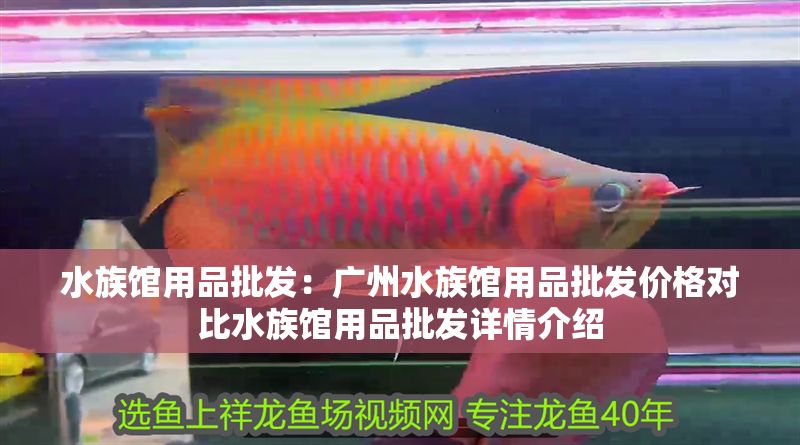 水族館用品批發(fā)：廣州水族館用品批發(fā)價(jià)格對(duì)比水族館用品批發(fā)詳情介紹