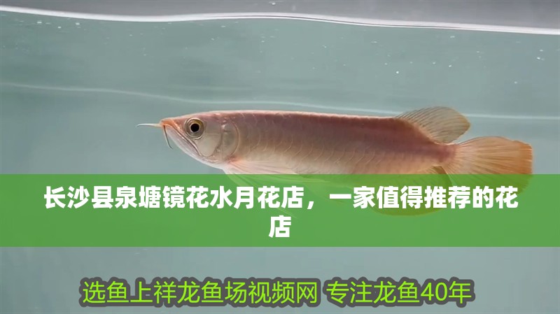 長沙縣泉塘鏡花水月花店，一家值得推薦的花店