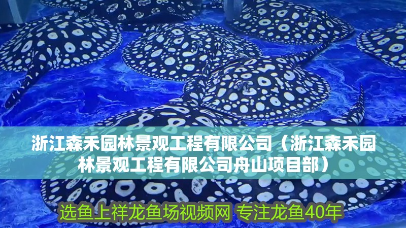 浙江森禾園林景觀工程有限公司（浙江森禾園林景觀工程有限公司舟山項(xiàng)目部）