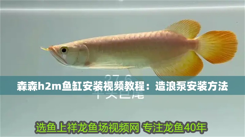 森森h2m魚缸安裝視頻教程：造浪泵安裝方法