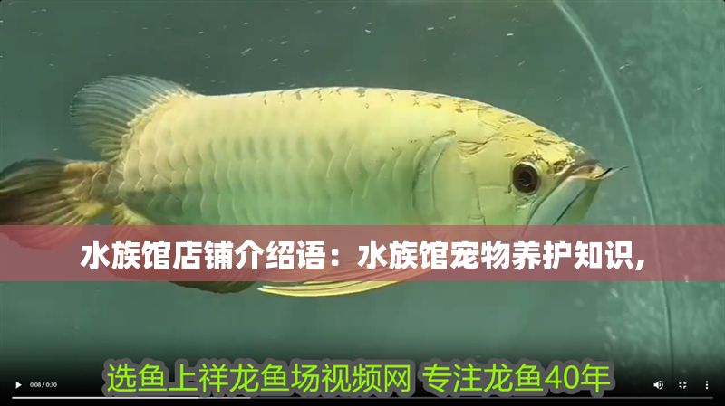 水族館店鋪介紹語：水族館寵物養護知識,