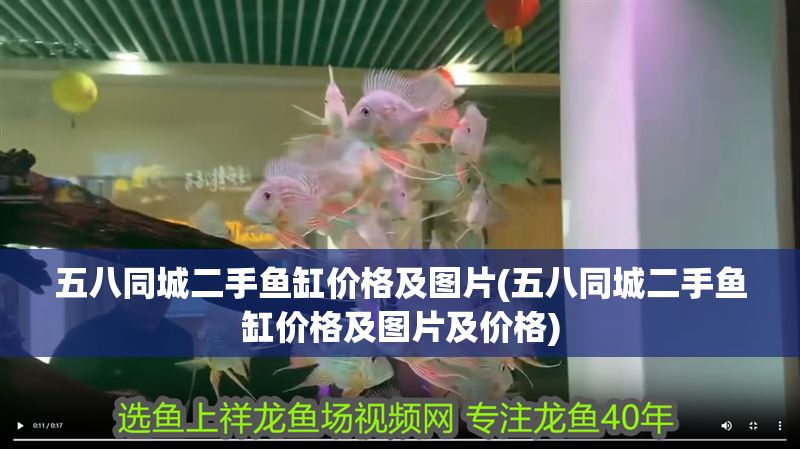 五八同城二手魚缸價格及圖片(五八同城二手魚缸價格及圖片及價格) 錦鯉魚百科 第1張 五八同城二手魚缸價格及圖片(五八同城二手魚缸價格及圖片及價格) 五八同城二手魚缸價格及圖片(五八同城二手魚缸價格及圖片及價格) 錦鯉魚百科 第1張