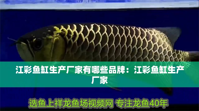 江彩魚缸生產廠家有哪些品牌：江彩魚缸生產廠家 江彩魚缸生產廠家有哪些品牌：江彩魚缸生產廠家 魚缸百科