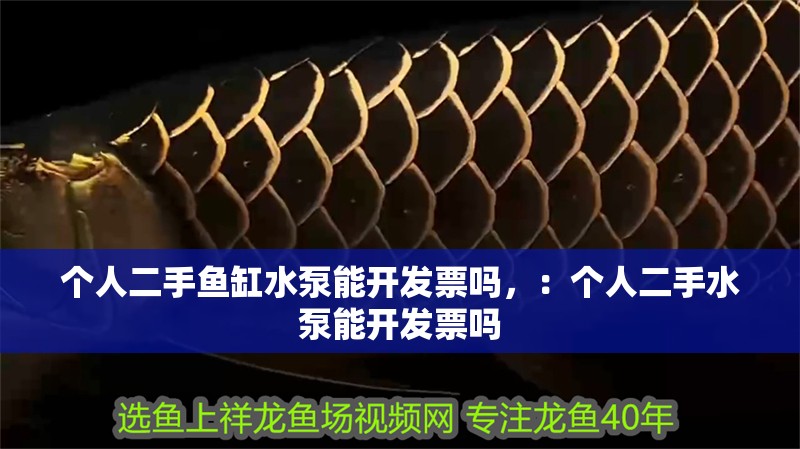 個人二手魚缸水泵能開發票嗎，：個人二手水泵能開發票嗎 個人二手魚缸水泵能開發票嗎，：個人二手水泵能開發票嗎 魚缸百科