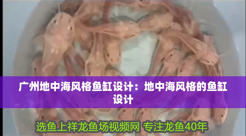 廣州地中海風格魚缸設計：地中海風格的魚缸設計