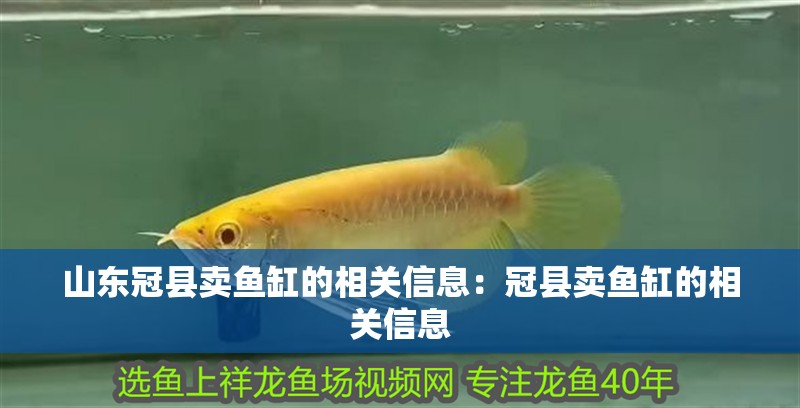 山東冠縣賣魚缸的相關(guān)信息：冠縣賣魚缸的相關(guān)信息