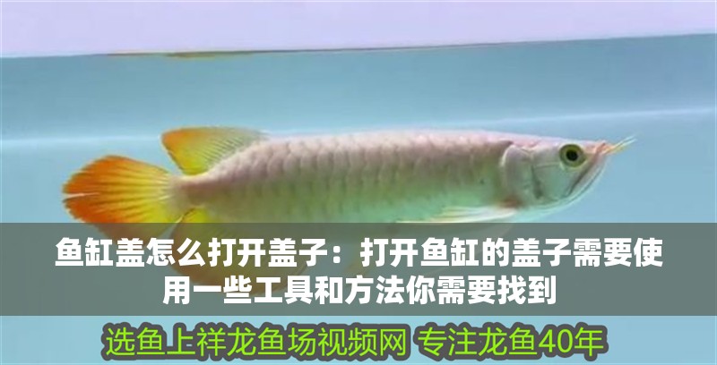 魚缸蓋怎么打開蓋子：打開魚缸的蓋子需要使用一些工具和方法你需要找到