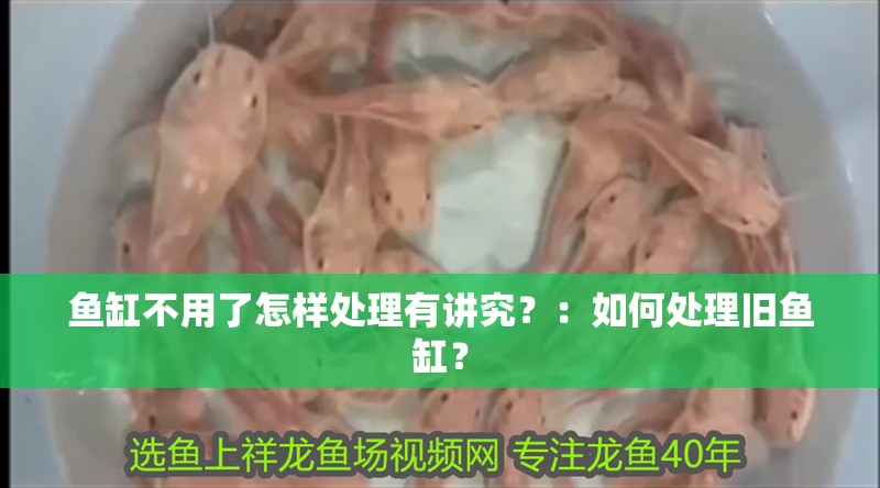 魚缸不用了怎樣處理有講究？：如何處理舊魚缸？