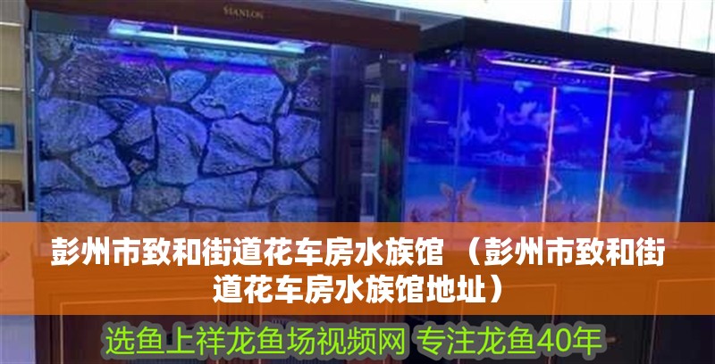 彭州市致和街道花車房水族館 （彭州市致和街道花車房水族館地址）