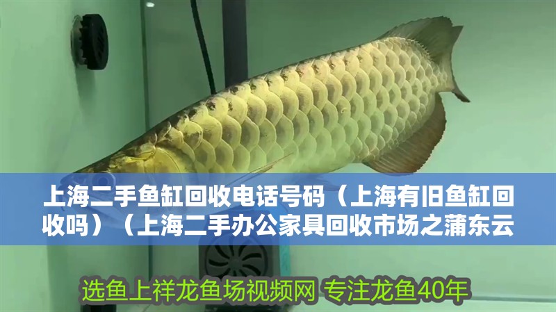 上海二手魚缸回收電話號碼（上海有舊魚缸回收嗎）（上海二手辦公家具回收市場之蒲東云臺路二手家具回收市場） 上海二手魚缸回收電話號碼（上海有舊魚缸回收嗎）（上海二手辦公家具回收市場之蒲東云臺路二手家具回收市場） 魚缸百科