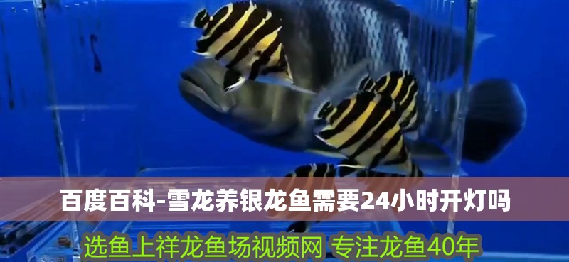 魚缸過濾器選購指南:自制魚缸過濾器魚缸上置過濾器對于養(yǎng)魚愛好者的必備知識 百度百科-雪龍養(yǎng)銀龍魚需要24小時開燈嗎 銀龍魚百科 百度百科-雪龍養(yǎng)銀龍魚需要24小時開燈嗎 百度百科-雪龍養(yǎng)銀龍魚需要24小時開燈嗎 銀龍魚百科
