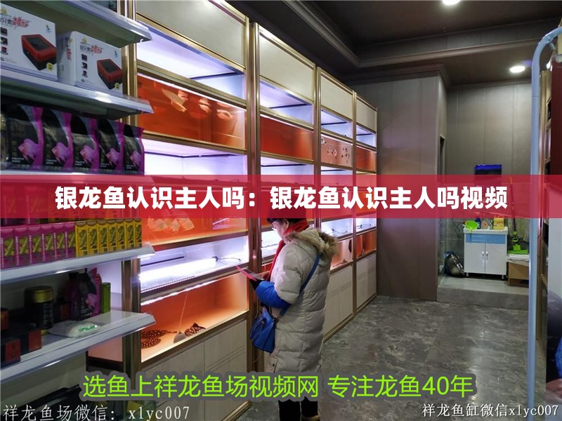 銀龍魚認(rèn)識(shí)主人嗎：銀龍魚認(rèn)識(shí)主人嗎視頻