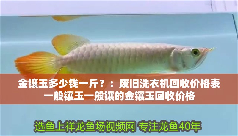 金鑲玉多少錢一斤？：廢舊洗衣機回收價格表一般鑲玉一般鑲的金鑲玉回收價格