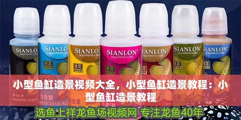 小型魚缸造景視頻大全，小型魚缸造景教程：小型魚缸造景教程