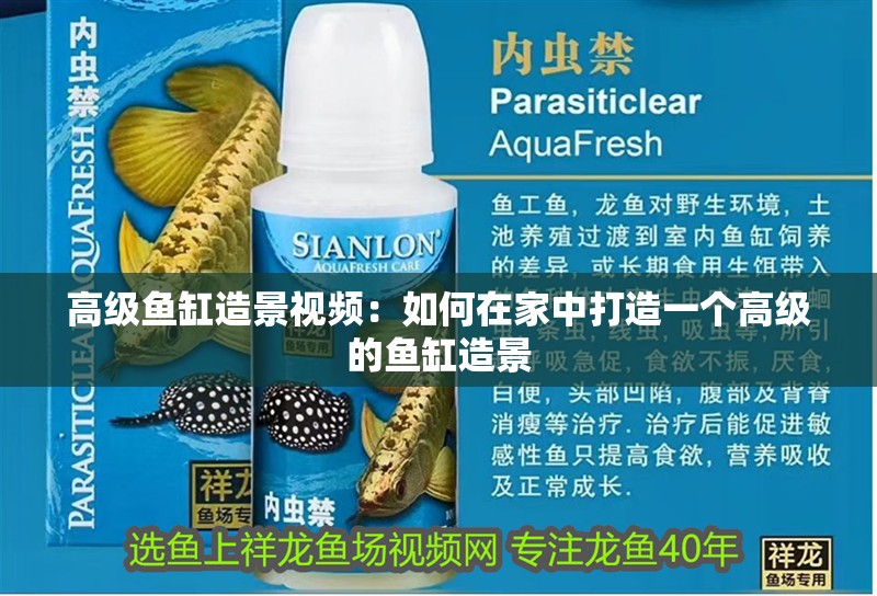 高級(jí)魚缸造景視頻：如何在家中打造一個(gè)高級(jí)的魚缸造景