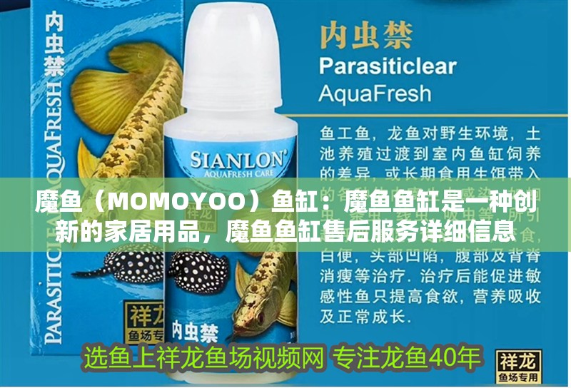 魔魚（MOMOYOO）魚缸：魔魚魚缸是一種創新的家居用品，魔魚魚缸售后服務詳細信息