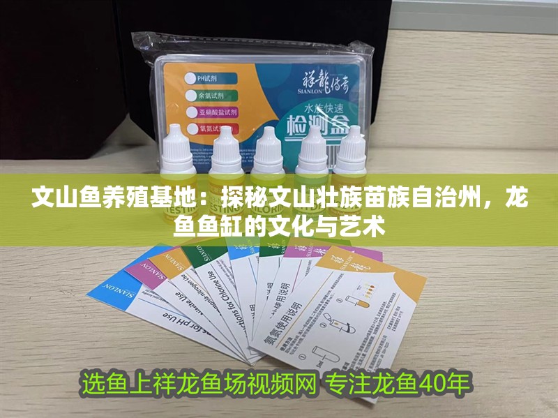 文山魚養殖基地：探秘文山壯族苗族自治州，龍魚魚缸的文化與藝術