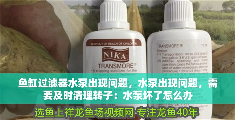 魚缸過濾器水泵出現問題，水泵出現問題，需要及時清理轉子：水泵壞了怎么辦