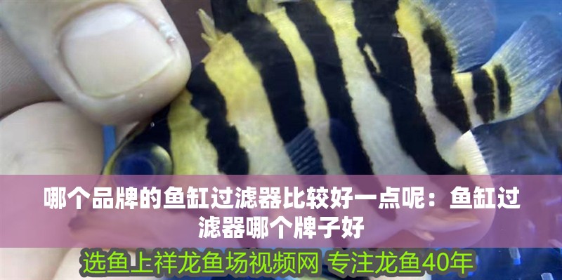 哪個品牌的魚缸過濾器比較好一點呢：魚缸過濾器哪個牌子好