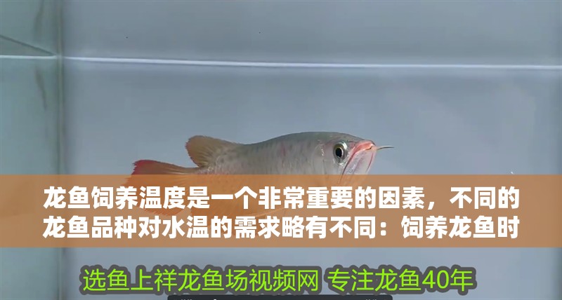 龍魚飼養溫度是一個非常重要的因素，不同的龍魚品種對水溫的需求略有不同：飼養龍魚時需要根據具體的龍魚品種來調整水溫的穩定